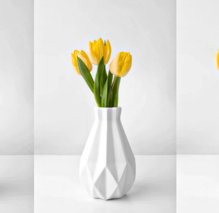 Flower | DTE_Nursery