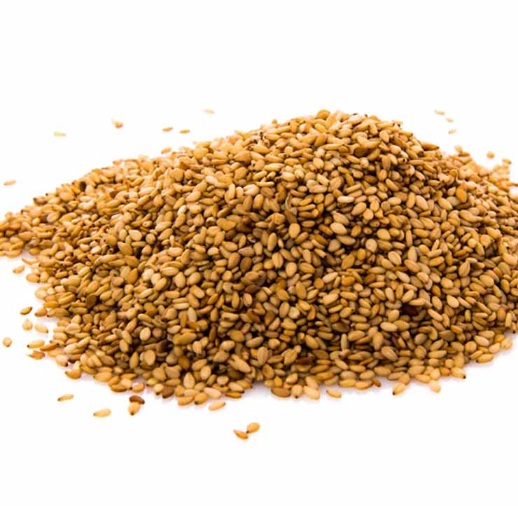 Seeds | DTE_Nursery