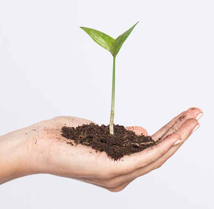 SOIL & FERTILIZERS | DTE_Nursery