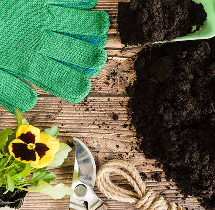SOIL & FERTILIZERS | DTE_Nursery