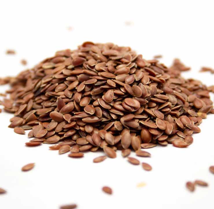 Seeds | DTE_Nursery