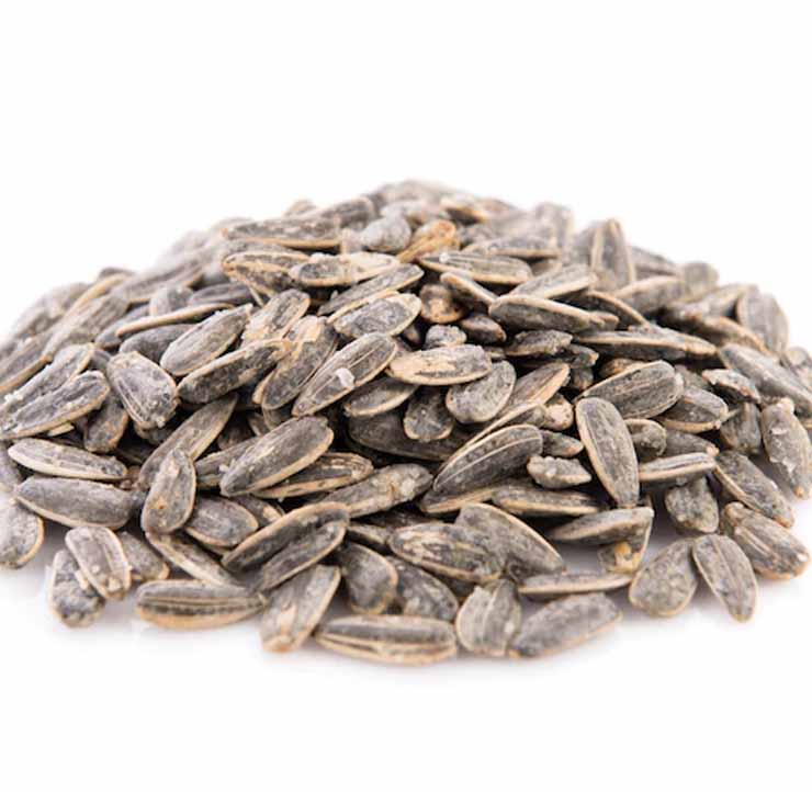 Seeds | DTE_Nursery