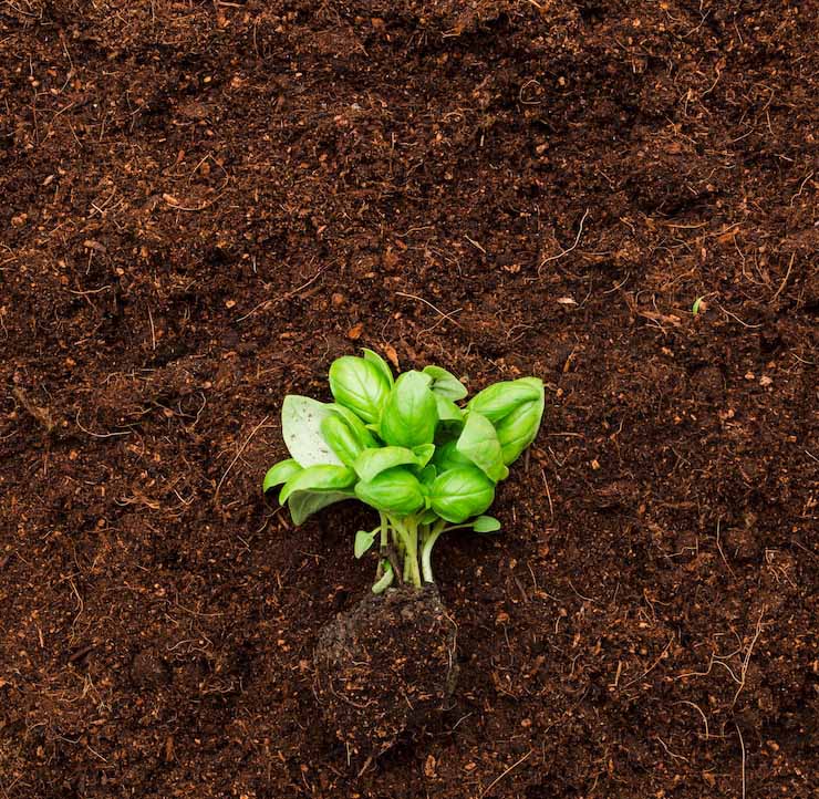 SOIL & FERTILIZERS | DTE_Nursery